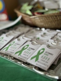 SETEMBRO VERDE: PROFISSIONAIS PARTICIPAM DE FORMAÇÃO SOBRE PRÁTICAS INCLUSIVAS