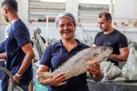 8 MIL QUILOS DE PEIXE SAO ENTREGUES NA SEMANA SANTA